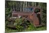 USA, Minnesota, Sandstone, Bear Cub and Old Truck-Hollice Looney-Mounted Photographic Print