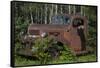 USA, Minnesota, Sandstone, Bear Cub and Old Truck-Hollice Looney-Framed Stretched Canvas