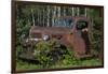 USA, Minnesota, Sandstone, Bear Cub and Old Truck-Hollice Looney-Framed Photographic Print