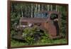 USA, Minnesota, Sandstone, Bear Cub and Old Truck-Hollice Looney-Framed Photographic Print