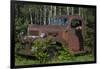 USA, Minnesota, Sandstone, Bear Cub and Old Truck-Hollice Looney-Framed Photographic Print