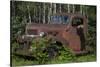 USA, Minnesota, Sandstone, Bear Cub and Old Truck-Hollice Looney-Stretched Canvas