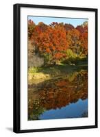 USA, Minnesota, Sunfish Lake, Fall Color Reflected in Pond-Bernard Friel-Framed Photographic Print