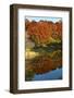 USA, Minnesota, Sunfish Lake, Fall Color Reflected in Pond-Bernard Friel-Framed Photographic Print