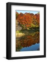 USA, Minnesota, Sunfish Lake, Fall Color Reflected in Pond-Bernard Friel-Framed Photographic Print