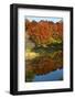 USA, Minnesota, Sunfish Lake, Fall Color Reflected in Pond-Bernard Friel-Framed Photographic Print