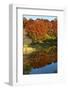USA, Minnesota, Sunfish Lake, Fall Color Reflected in Pond-Bernard Friel-Framed Photographic Print