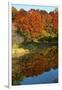 USA, Minnesota, Sunfish Lake, Fall Color Reflected in Pond-Bernard Friel-Framed Premium Photographic Print