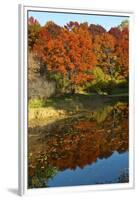 USA, Minnesota, Sunfish Lake, Fall Color Reflected in Pond-Bernard Friel-Framed Premium Photographic Print