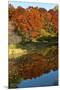 USA, Minnesota, Sunfish Lake, Fall Color Reflected in Pond-Bernard Friel-Mounted Premium Photographic Print