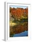 USA, Minnesota, Sunfish Lake, Fall Color Reflected in Pond-Bernard Friel-Framed Photographic Print