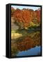 USA, Minnesota, Sunfish Lake, Fall Color Reflected in Pond-Bernard Friel-Framed Stretched Canvas