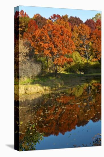 USA, Minnesota, Sunfish Lake, Fall Color Reflected in Pond-Bernard Friel-Stretched Canvas
