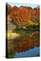 USA, Minnesota, Sunfish Lake, Fall Color Reflected in Pond-Bernard Friel-Stretched Canvas