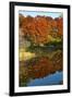 USA, Minnesota, Sunfish Lake, Fall Color Reflected in Pond-Bernard Friel-Framed Photographic Print