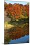 USA, Minnesota, Sunfish Lake, Fall Color Reflected in Pond-Bernard Friel-Mounted Photographic Print