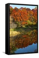 USA, Minnesota, Sunfish Lake, Fall Color Reflected in Pond-Bernard Friel-Framed Stretched Canvas