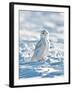 USA, Minnesota, Vermillion. Snowy Owl Perched on Snow-Bernard Friel-Framed Premium Photographic Print