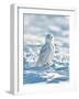 USA, Minnesota, Vermillion. Snowy Owl Perched on Snow-Bernard Friel-Framed Photographic Print