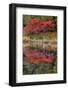 USA, Minnsota, Duluth, Fall Color-Peter Hawkins-Framed Photographic Print