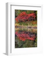 USA, Minnsota, Duluth, Fall Color-Peter Hawkins-Framed Photographic Print