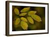 USA, Minnsota, Duluth, Fall Color-Peter Hawkins-Framed Photographic Print