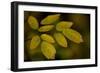 USA, Minnsota, Duluth, Fall Color-Peter Hawkins-Framed Photographic Print