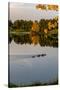 USA, Minnsota, Duluth, Fall Color-Peter Hawkins-Stretched Canvas