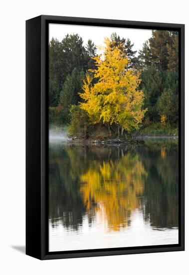 USA, Minnsota, Duluth, Fall Color-Peter Hawkins-Framed Stretched Canvas
