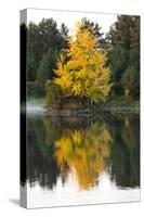 USA, Minnsota, Duluth, Fall Color-Peter Hawkins-Stretched Canvas