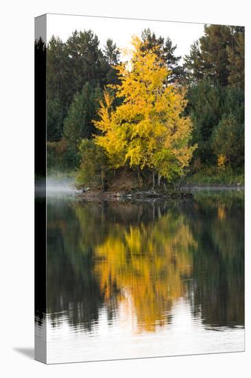 USA, Minnsota, Duluth, Fall Color-Peter Hawkins-Stretched Canvas