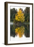 USA, Minnsota, Duluth, Fall Color-Peter Hawkins-Framed Photographic Print