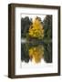 USA, Minnsota, Duluth, Fall Color-Peter Hawkins-Framed Photographic Print