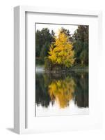 USA, Minnsota, Duluth, Fall Color-Peter Hawkins-Framed Photographic Print