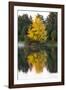 USA, Minnsota, Duluth, Fall Color-Peter Hawkins-Framed Photographic Print