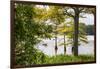 USA, Mississippi. Mississippi River Basin, cypress in Beaverdam Lake.-Alison Jones-Framed Photographic Print