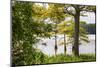 USA, Mississippi. Mississippi River Basin, cypress in Beaverdam Lake.-Alison Jones-Mounted Photographic Print