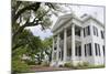 USA, Mississippi, Natchez. Stanton Hall, Antebellum home.-Cindy Miller Hopkins-Mounted Photographic Print