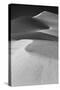 USA, Mojave Trails National Monument, California. Black and white image of windblown sand dune.-Judith Zimmerman-Stretched Canvas