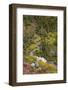 USA, Montana. Autumn in Glacier National Park.-Judith Zimmerman-Framed Photographic Print