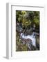 USA, Montana. Avalanche Creek, Glacier National Park.-Judith Zimmerman-Framed Photographic Print