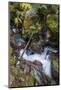USA, Montana. Avalanche Creek, Glacier National Park.-Judith Zimmerman-Mounted Photographic Print