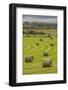 USA, Montana. Bales, or Rounds, of hay in a field that has just been harvested.-Tom Haseltine-Framed Photographic Print