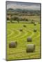 USA, Montana. Bales, or Rounds, of hay in a field that has just been harvested.-Tom Haseltine-Mounted Photographic Print