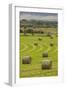 USA, Montana. Bales, or Rounds, of hay in a field that has just been harvested.-Tom Haseltine-Framed Photographic Print