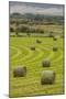 USA, Montana. Bales, or Rounds, of hay in a field that has just been harvested.-Tom Haseltine-Mounted Photographic Print