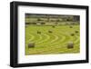 USA, Montana. Bales, or Rounds, of hay in a field that has just been harvested.-Tom Haseltine-Framed Photographic Print