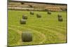 Usa, Montana. Bales, or Rounds, of hay in a field that has just been harvested.-Tom Haseltine-Mounted Photographic Print