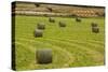 Usa, Montana. Bales, or Rounds, of hay in a field that has just been harvested.-Tom Haseltine-Stretched Canvas