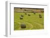 Usa, Montana. Bales, or Rounds, of hay in a field that has just been harvested.-Tom Haseltine-Framed Photographic Print